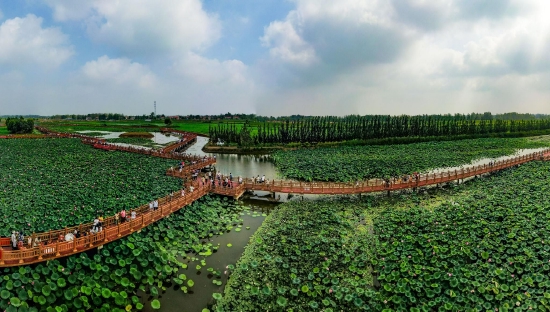 （菏澤市曹縣黃河故道濕地風(fēng)景區(qū)。圖片來(lái)源：菏澤市攝影家協(xié)會(huì)）